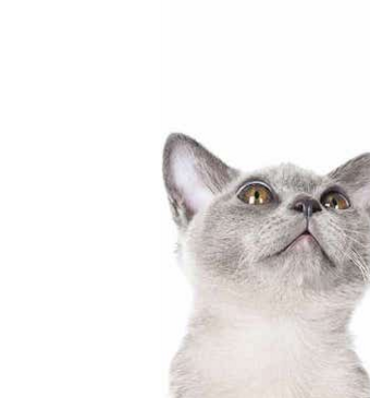 Anifit ERP Sofware microsoft dynamics 365 Aproda AG