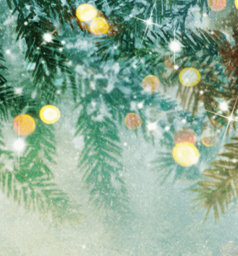 Weihnachten_Neujahr_Öffnungszeiten aproda ag