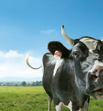 SM_OpenAirCinema_Titelbild_1920x890px_V02_online_0