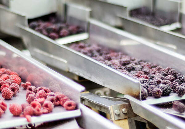 ERP Software Lebensmittel Grosshandel