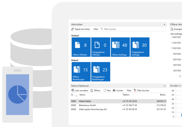 Reporting ERP Cloud