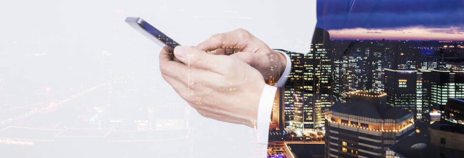 ERP Software Microsoft Dynamics NAV